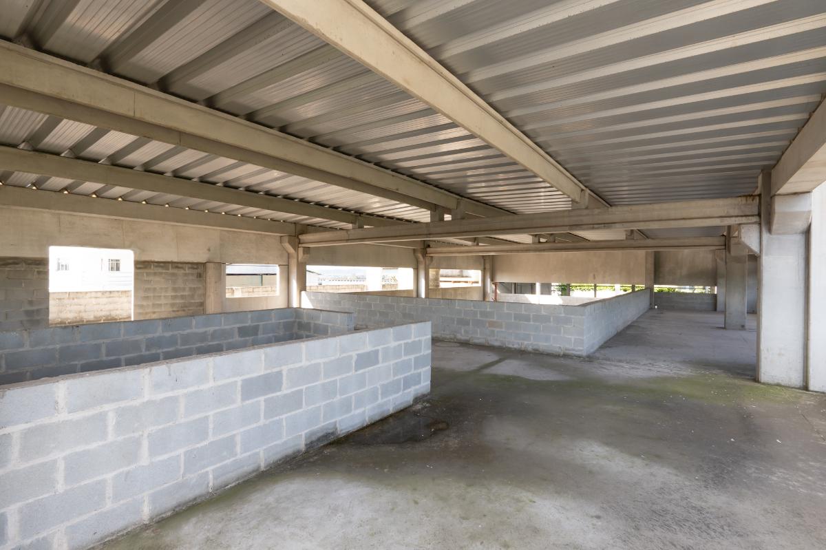Depósito-Galpão, 4066 m² - Foto 6