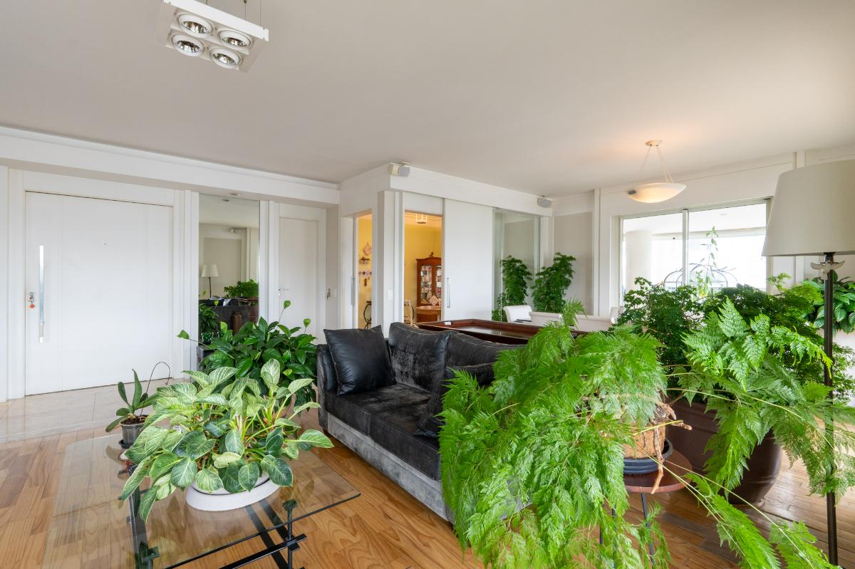 Apartamento, 3 quartos, 260 m² - Foto 3