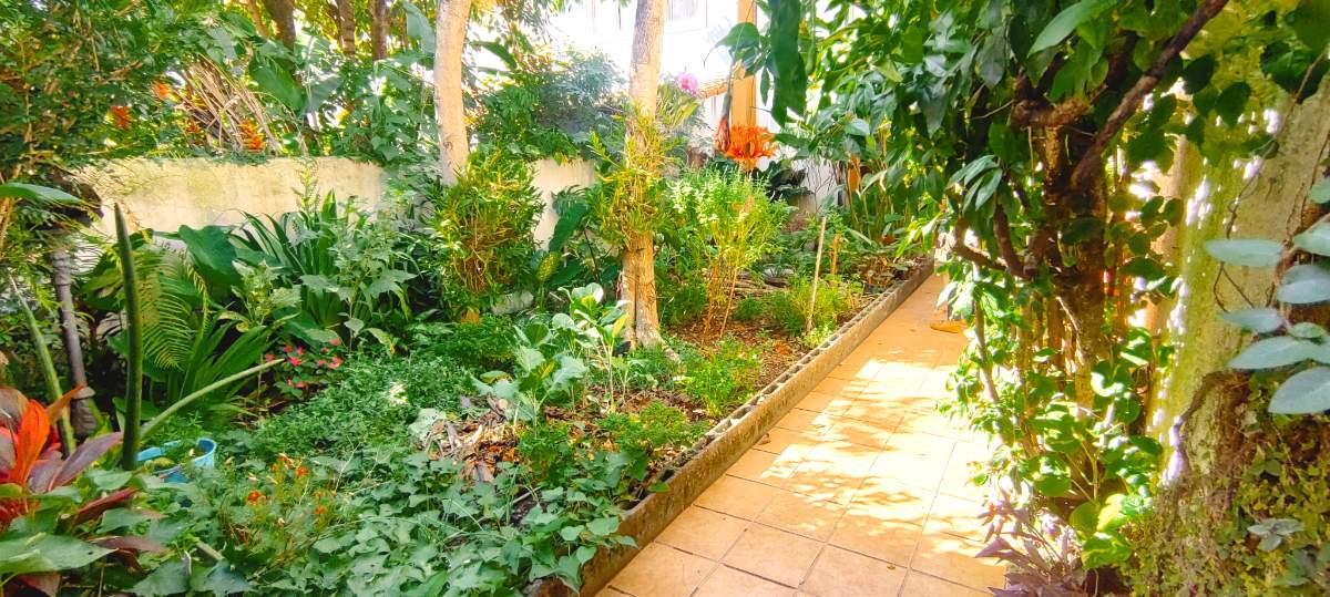 Casa, 3 quartos, 250 m² - Foto 5