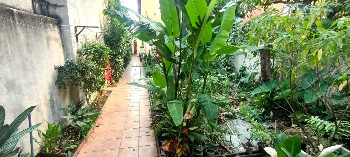 Casa, 3 quartos, 250 m² - Foto 6