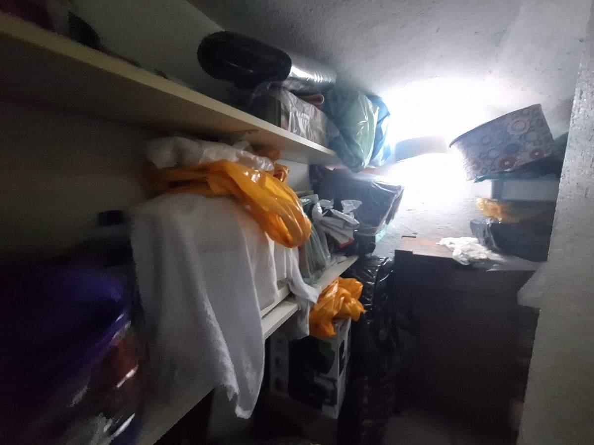 Casa, 3 quartos, 500 m² - Foto 15