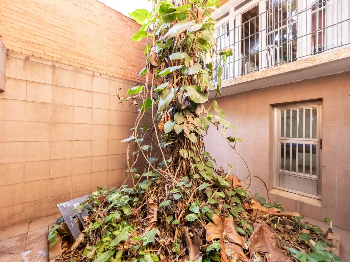 Casa, 4 quartos, 440 m² - Foto 19