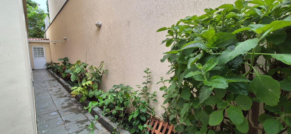 Casa, 4 quartos, 233 m² - Foto 11