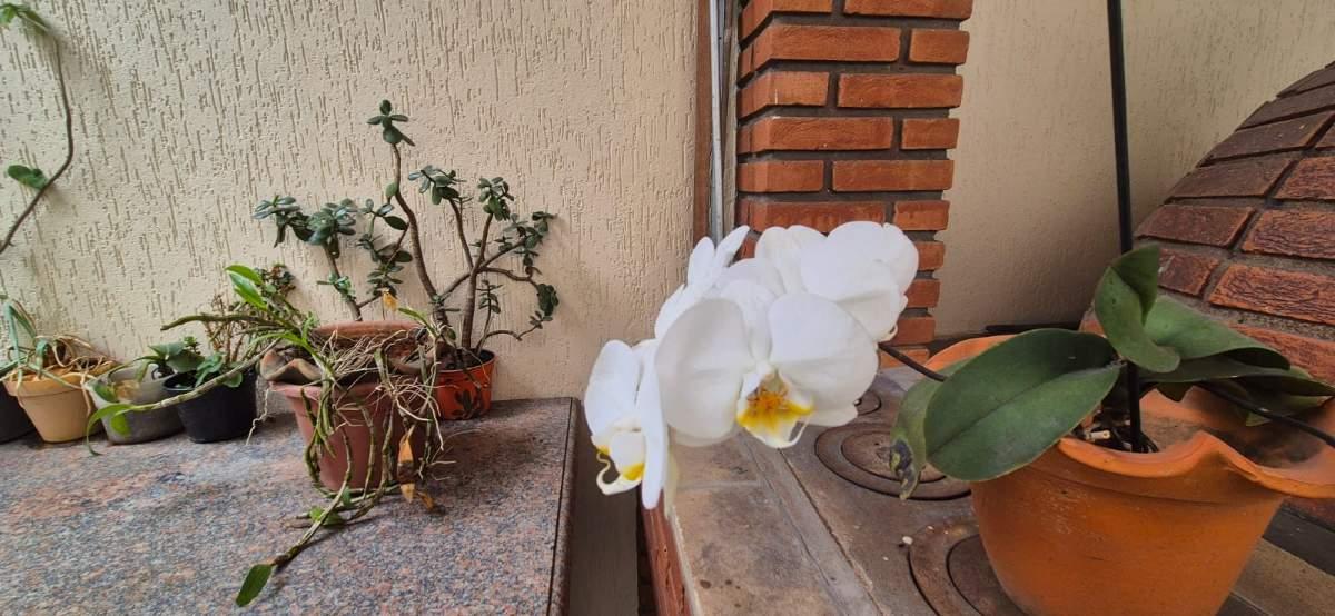 Casa, 4 quartos, 233 m² - Foto 12