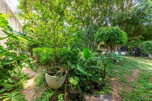Terreno, 780 m² - Foto 24