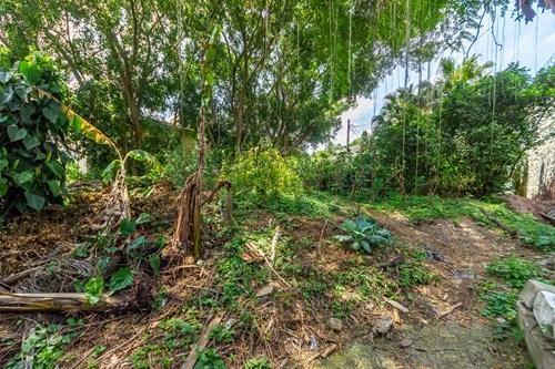 Terreno, 780 m² - Foto 4