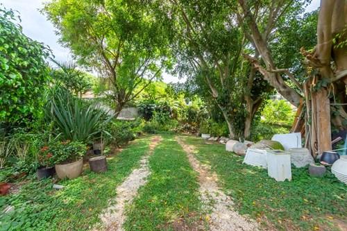 Terreno, 780 m² - Foto 8