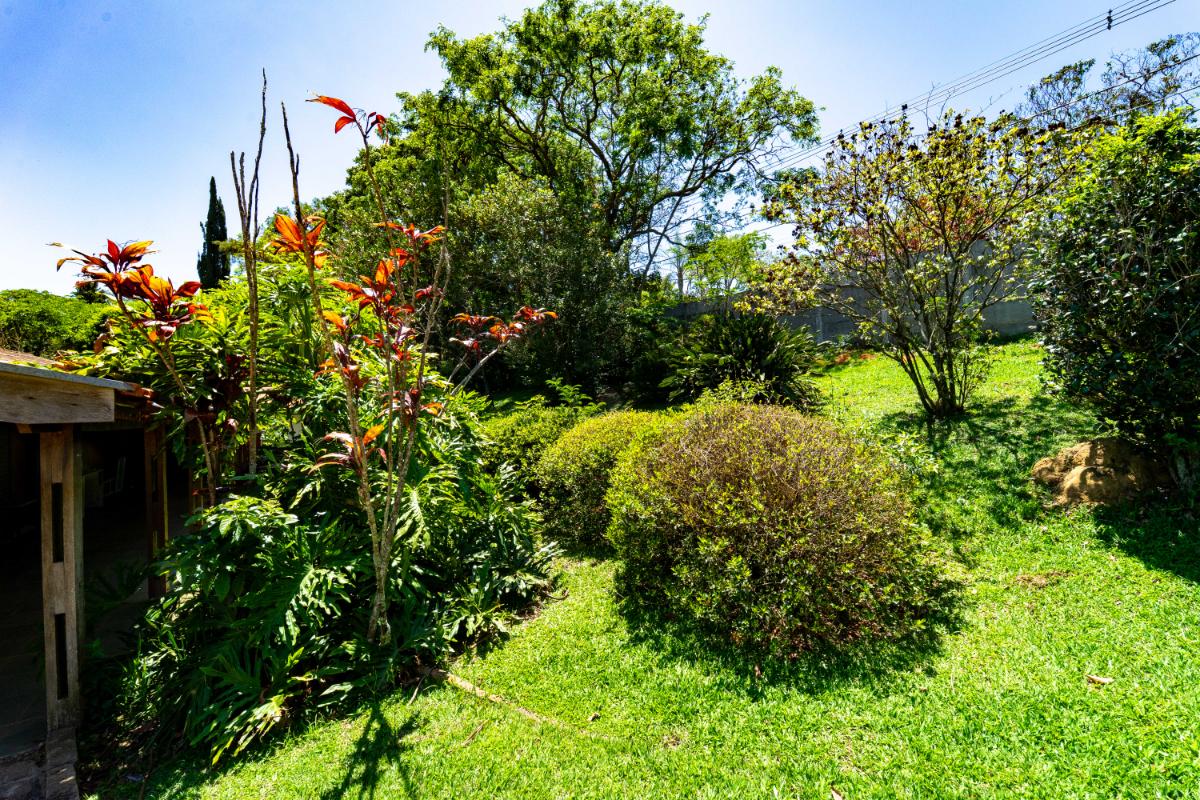 Terreno, 5000 m² - Foto 14