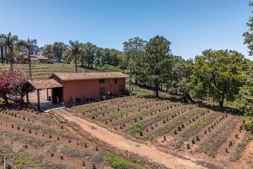 Casa, 5 quartos, 48758 m² - Foto 19
