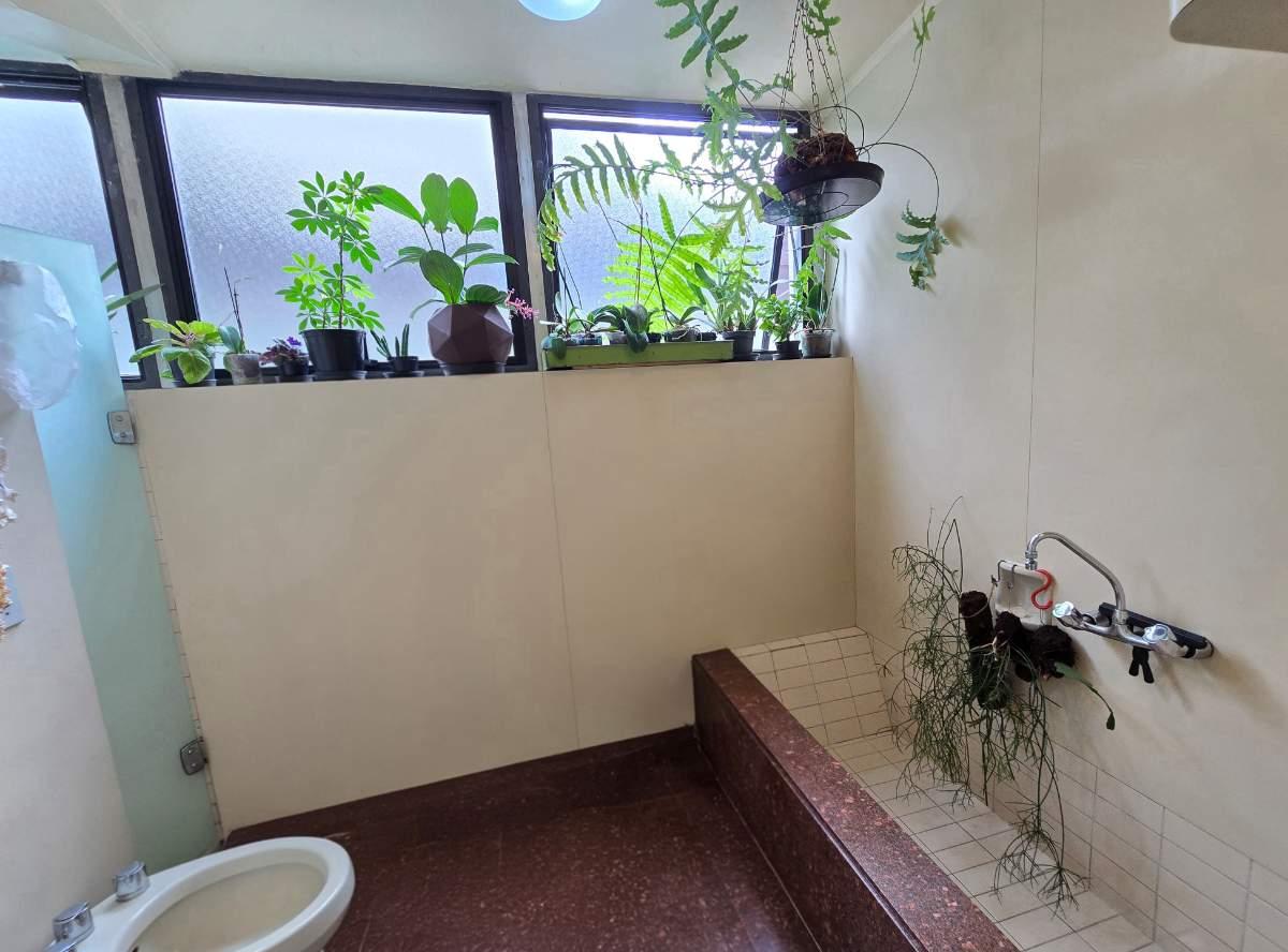 Apartamento, 6 quartos, 370 m² - Foto 17