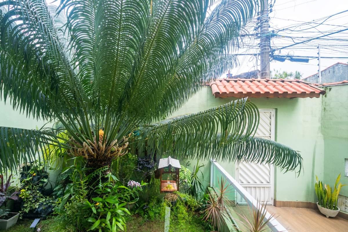 Casa, 4 quartos, 250 m² - Foto 15