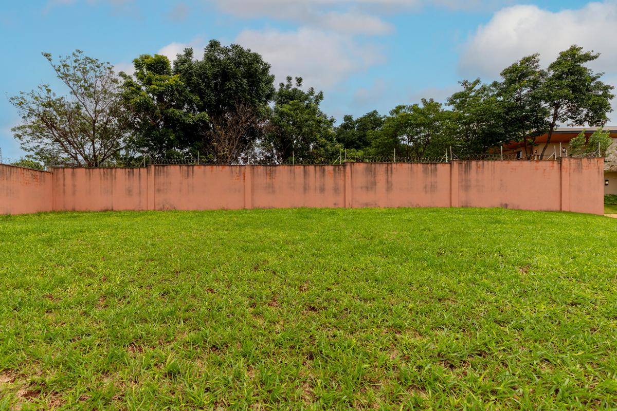 Terreno, 695 m² - Foto 6