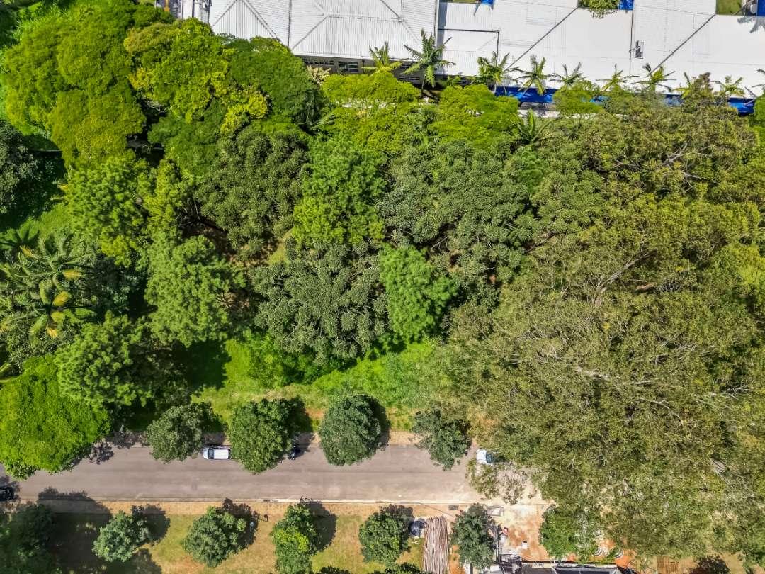 Terreno, 663 m² - Foto 14