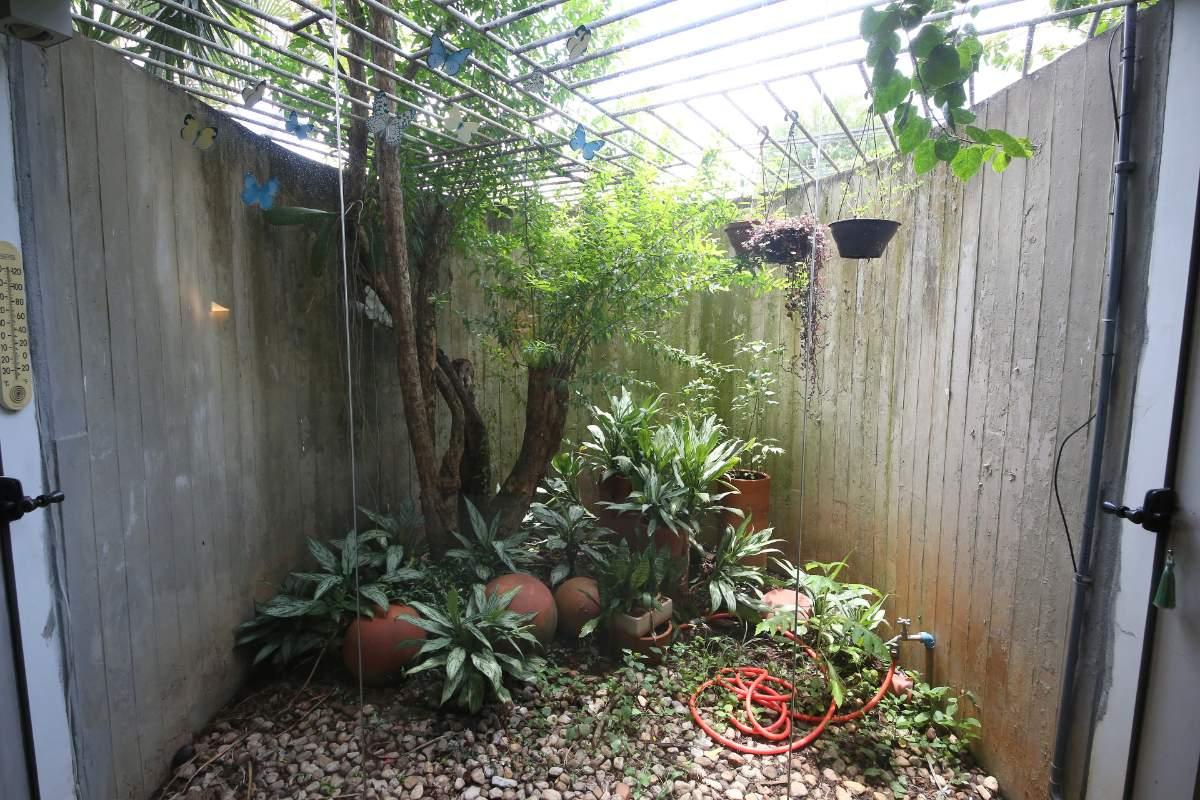 Casa, 5 quartos, 500 m² - Foto 6