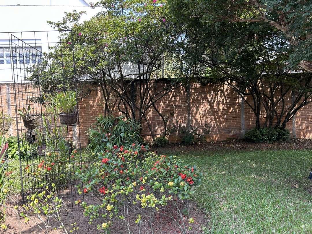 Casa, 3 quartos, 443 m² - Foto 3
