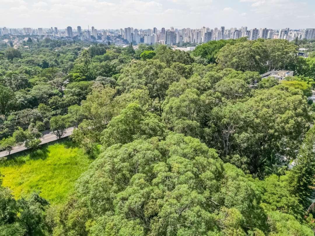 Casa, 4 quartos, 273 m² - Foto 3