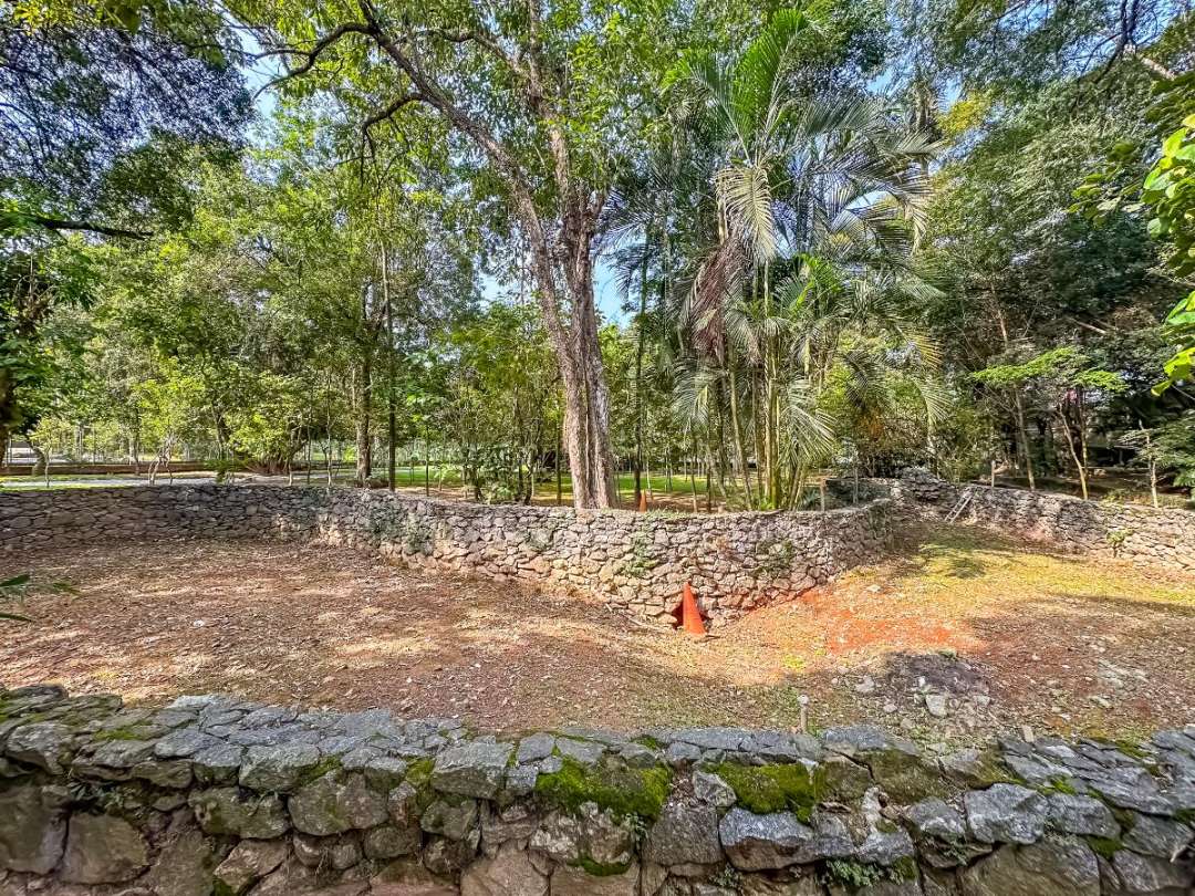 Terreno, 5339 m² - Foto 13