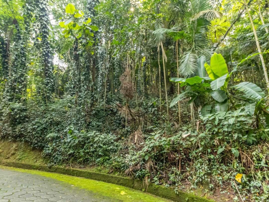 Terreno, 5339 m² - Foto 14