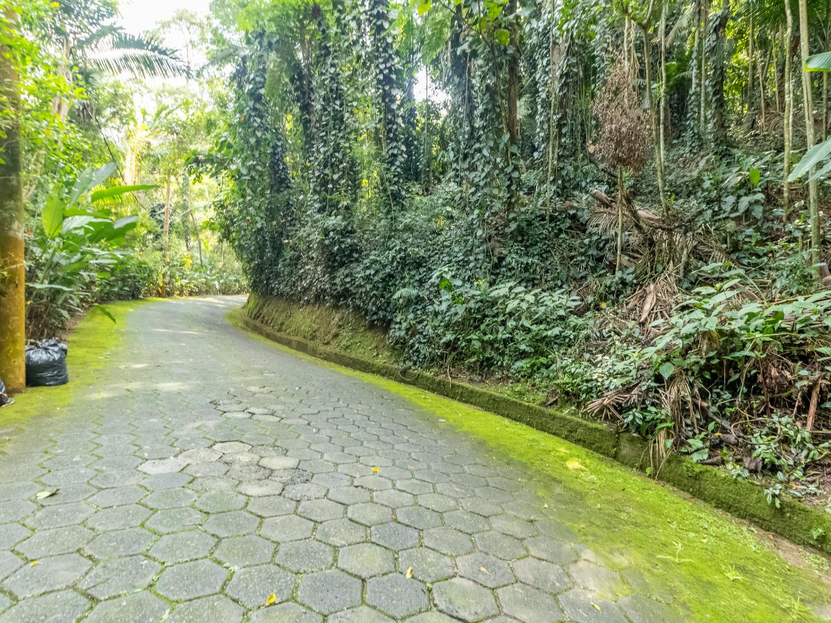 Terreno, 5339 m² - Foto 16