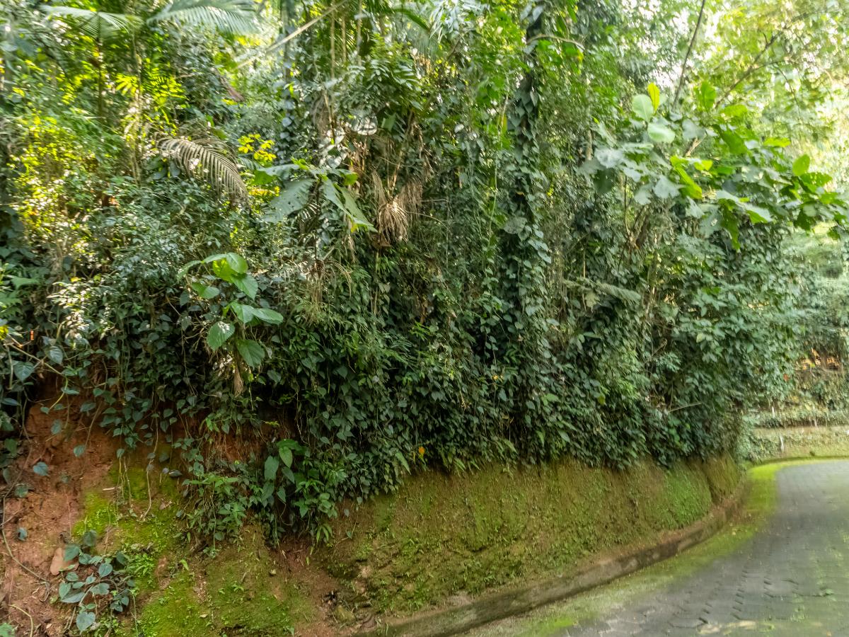 Terreno, 5339 m² - Foto 17