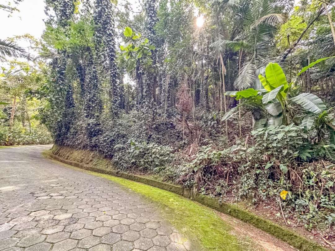Terreno, 5339 m² - Foto 1