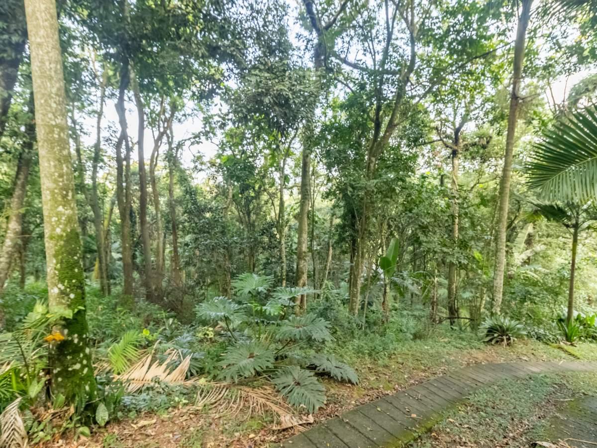 Terreno, 5339 m² - Foto 19