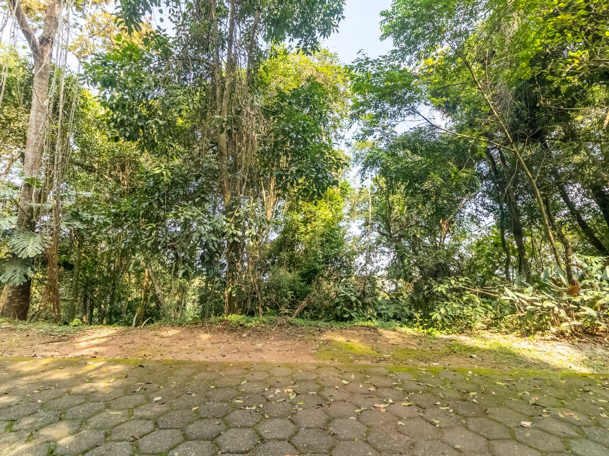 Terreno, 5339 m² - Foto 22