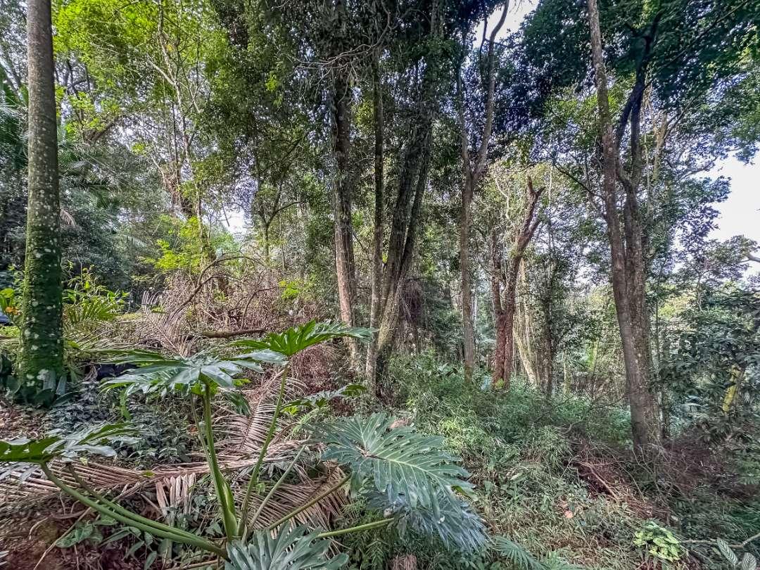Terreno, 5339 m² - Foto 4