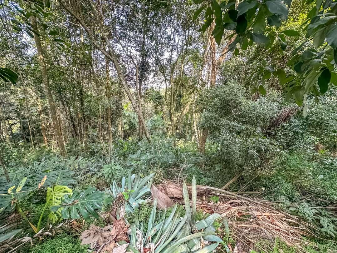 Terreno, 5339 m² - Foto 5