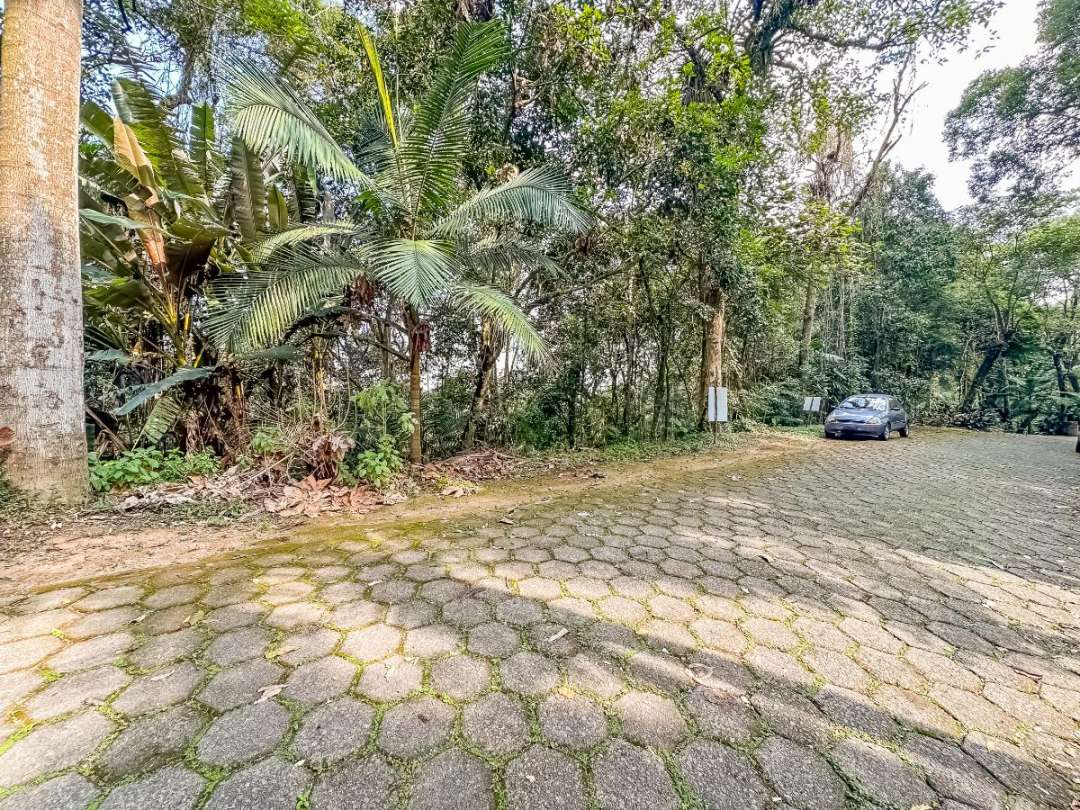 Terreno, 5339 m² - Foto 6
